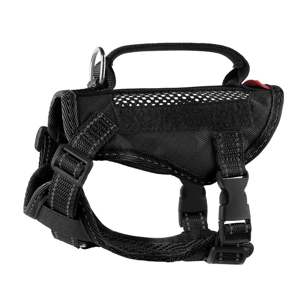 Outdoor Cat Harness