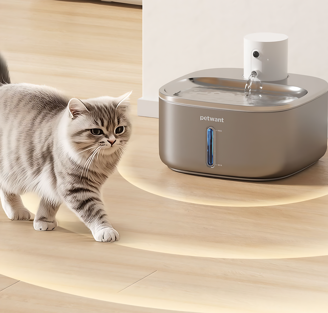 Automatic Cat Water Dispenser